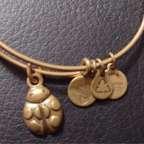 Alex and Ani Ladybug Charm Bracelet Rafaelian Gold Finish - Expands 2"- … - Picture 7 of 11